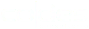 Codes Consultoria