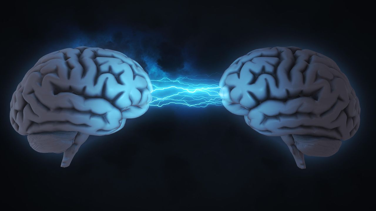 Notícias 2 twoBrains